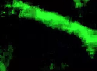 blonde and redhead girls touching pussies outdoor