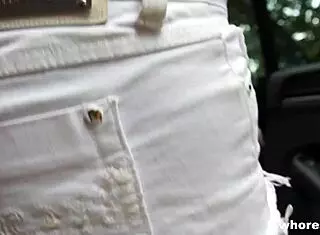 Picked Up and Fucked Hard in Car!