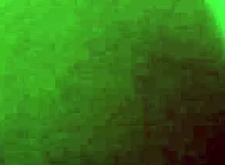 Trap Whore Vixxen Gets Plowed Roughly