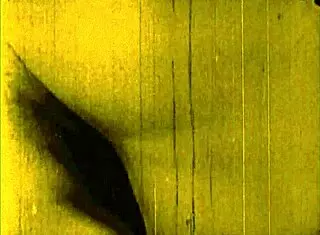 vintage erotic drawings