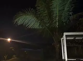 Married Fanny Shows Off In Public On The Street Without Underwear