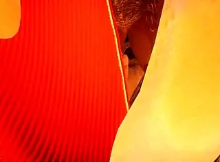 wildlife orgy explodes in hentai anime!