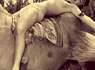 dark lantern entertainment presents beauty and the beast vintage film