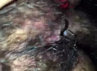 Passionate Creampie With Cousin In Empty House