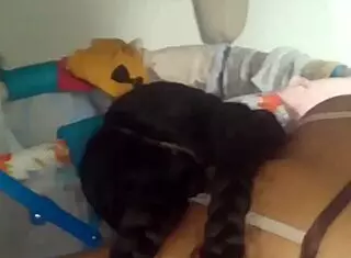 Sex with my stepsister is so hot!