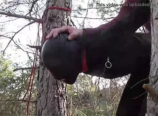Skinny Latina Tied To Tree For Rough Outdoor Fuck