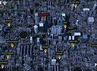 what color are my secretary's panties?