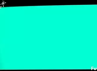 stf cammy compilation 12