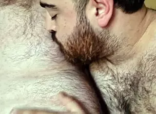Hairy bears passionately kissing with big cocks and monster dicks 😍