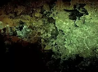 two centuries of vintage pornography