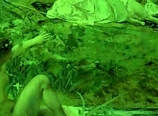 Explore vintage erotic drawings from antique collections