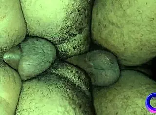 Four guys in a box with a secret - full sheer com