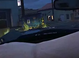 In GTA 5, the online CHARACTER GETS a HOOKER SERVICE