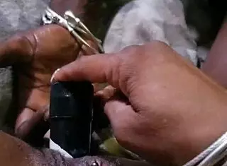 nybutterscotch tries new toy with husband watching