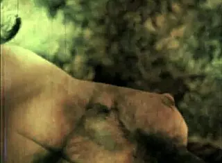 Victorian gentleman's erotic sea voyage confessions