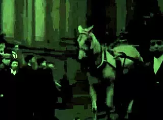 Victorian gentleman's erotic sea voyage confessions