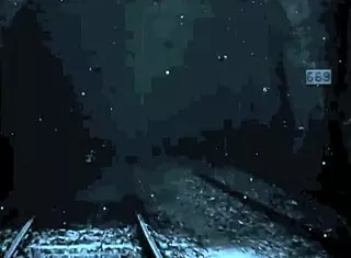 Vintage Erotic Illustration!