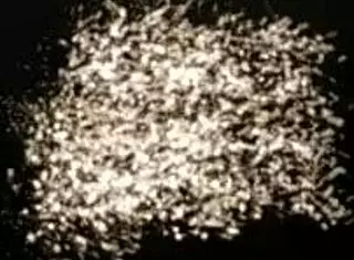 Sata Jones Slave Hard Anal Sex With Boss Leo Casanova