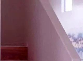 Wow! My teen 18+ stepsister Jessie Saint wants stepbro Jay Romero's dick!