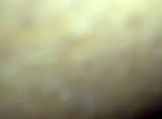 my african bitch with a big black ass