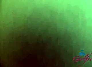 Lana Small gives blowjob, takes doggystyle, rides cowgirl in hookup