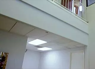 verronica kirei meets new boss abigail mac