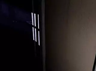 Let's Play TTPP Demo