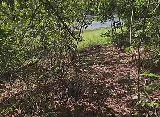 Married Redhead Enjoys Giving Her Ass In Amateur Anal