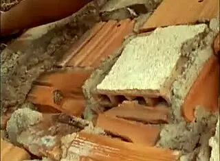 Impregnated Sister-In-Law With Hardcore Anal