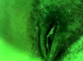 delicious and nutritious pussy that's wet and inviting