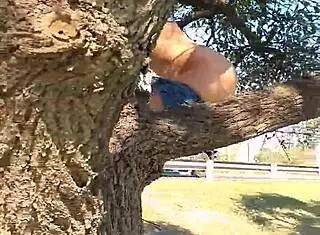 Meando desde un Arbol en la Gral Paz Jajaja