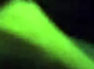 Amateur Video Recorded On January 30, 2016