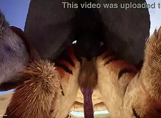 Wildlife - Gay Furrys Yiff Assfucking