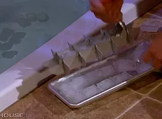 penthouse pet dani daniels devours madison fox pussy with fingers