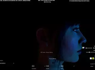 Xporn3d Virtual Reality Porn Software