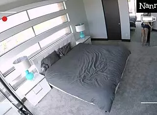 Obupane varuške sesajo šefov kurac močno, da se izognejo zaporu