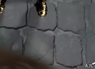 Supergirl Says Wonder Woman Takes Me