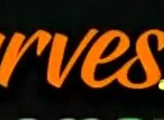 Damn, Hadley, you horny pornstar sucking that massive cock like a pro!