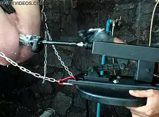 exploring the 26 11 bbd sex machine in anime hentai