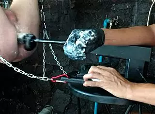 exploring the 26 11 bbd sex machine in anime hentai