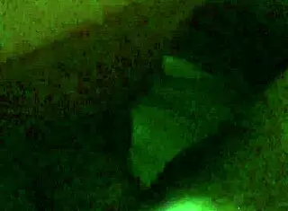 Close-Up of Latina Pussy Getting Fucked by Hard Cock