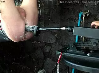 exploring the 26 11 bbd sex machine in anime hentai