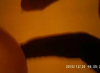 Home Prostitutes Engage In Raw Sexual Encounters Volume Nine