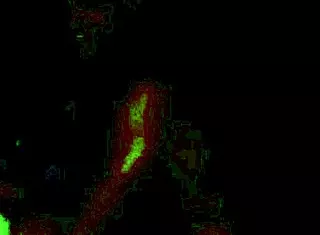 i messed up the third part of yorgelis kent and erika schwarzenberg video