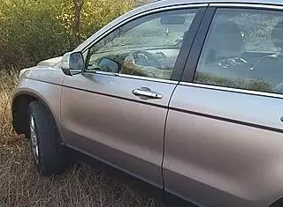 Cream Tube Adventure And Pee In Nature