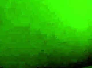 Seth Gamble and Cecilia Lion share intimate table moments