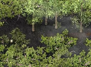 Feel The Intense Lust In Epidemic Gameplay Part 16