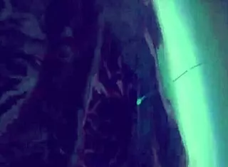 Your Name Radwimps Nandemonaiya In Hentai Anime Adaptation