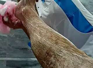 زوجة أب تتجاهل إثارة ابن زوجها وهي تغسله. صدر كبير يظهر في لعب فردي.