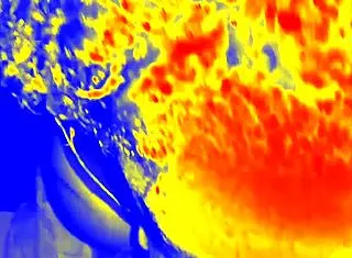 Sloppy Blowjob From Ebony BBW Amateur